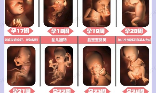 【温州二医做试管好还是三医好】温州二医有免费做试管婴儿的事吗 - 温州二医有免费做试管婴儿的事吗网