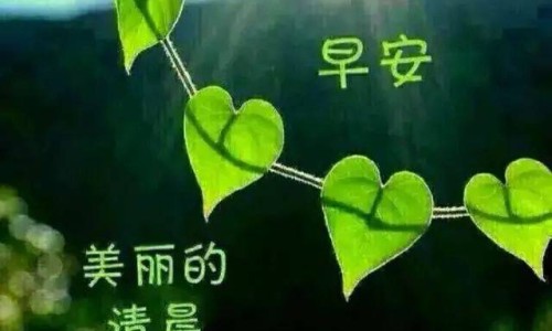 温州二医有免费做试管婴儿的事吗-【温州二医做试管好还是三医好】温州二医有免费做试管婴儿的事吗 - 温州二医有免费做试管婴儿的事吗网