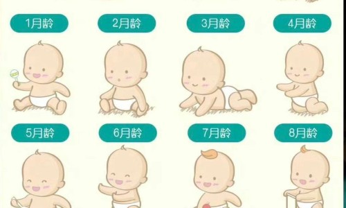 温州附属第二医院试管婴儿可以报销吗-【温州二医做试管好还是三医好】温州二医有免费做试管婴儿的事吗 - 温州二医有免费做试管婴儿的事吗网