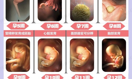 温州二医有免费做试管婴儿的事吗-【温州二医做试管好还是三医好】温州二医有免费做试管婴儿的事吗 - 温州二医有免费做试管婴儿的事吗网